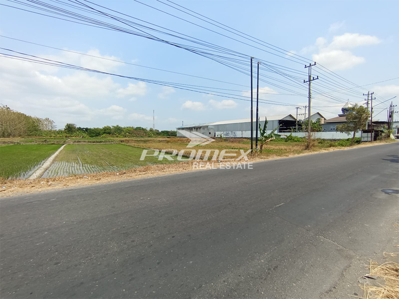 Dijual Tanah Sawah Zona Merah di Polanharjo, Klaten
