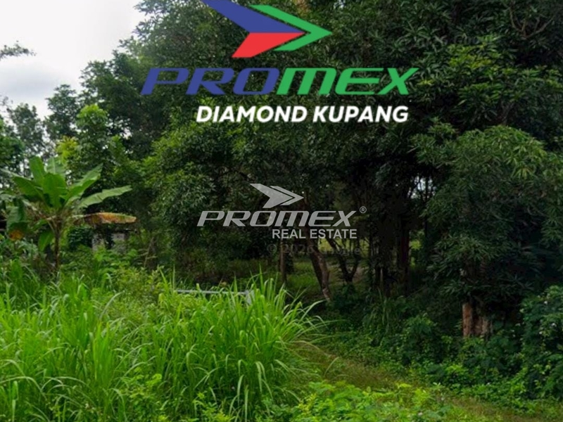 DIJUAL TANAH LOKASI KEFA