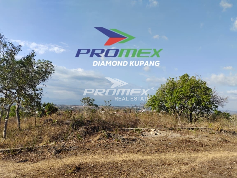 DIJUAL TANAH LOKASI PETUK