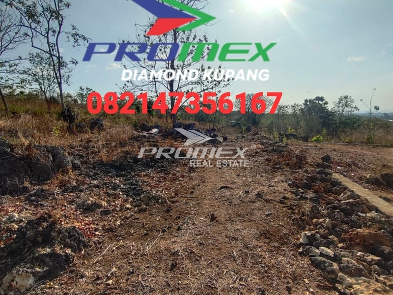 DIJUAL TANAH LOKASI PETUK