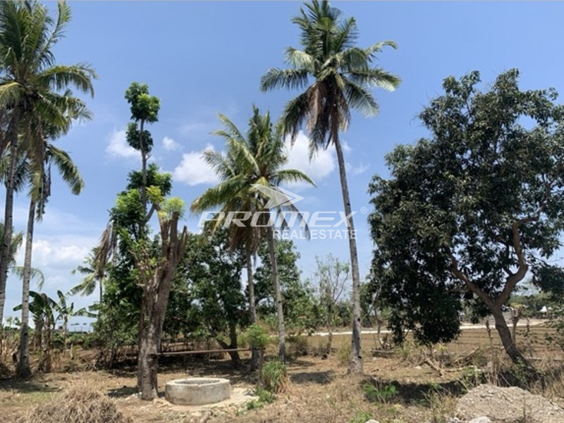 DIJUAL TANAH LOKASI BTN KOLHUA