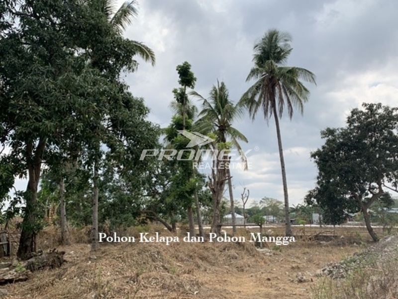 dijual-tanah-lokasi-btn-kolhua